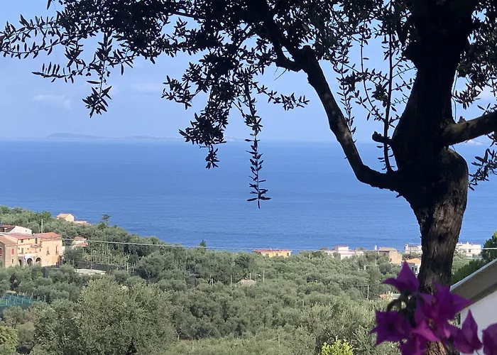 Giovanna 2* Σορέντο