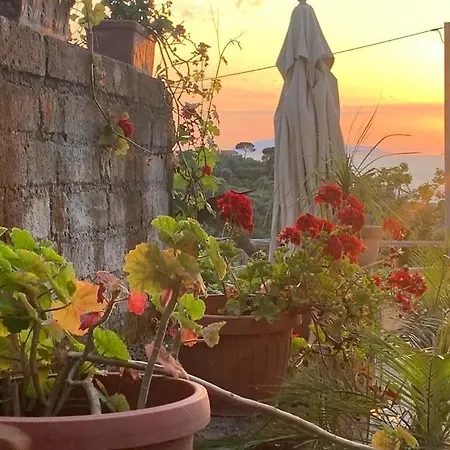 Hotell Giovanna Sorrento