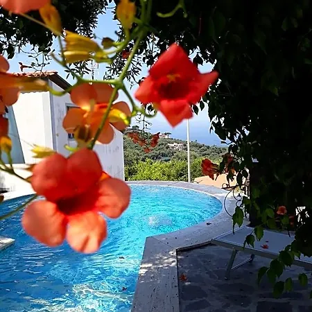 Giovanna Bed & Breakfast 2*