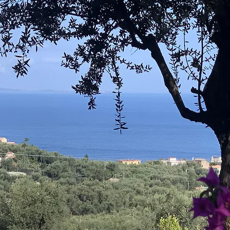 Giovanna 2* Σορέντο